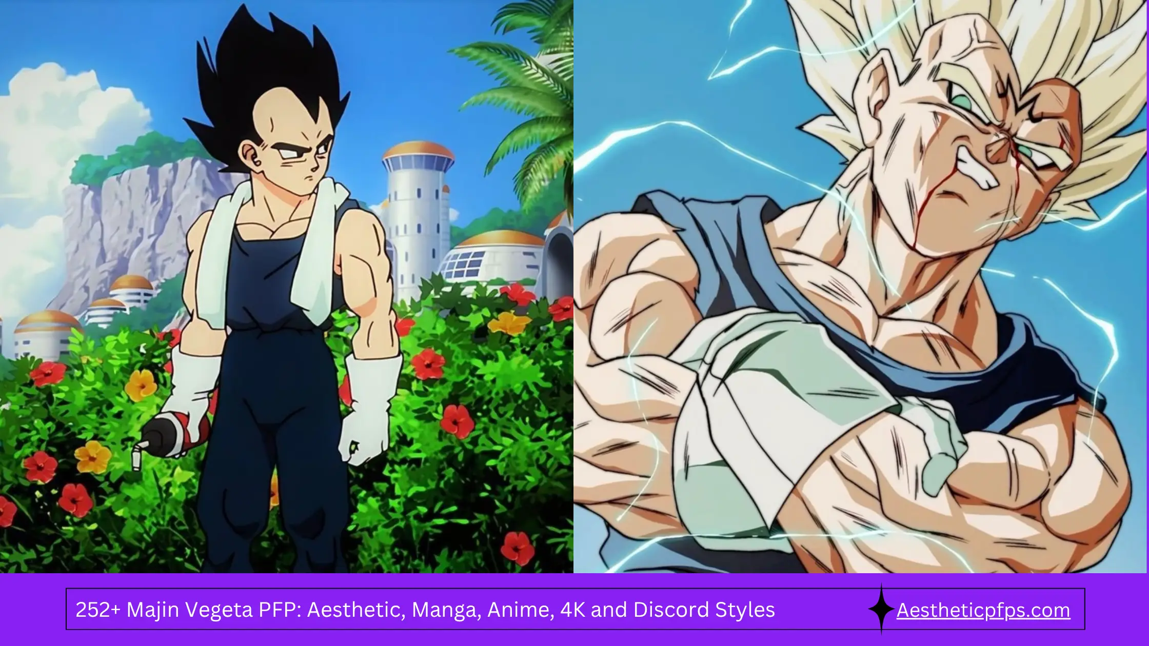 252+ Majin Vegeta PFP Aesthetic, Manga, Anime, 4K and Discord Styles