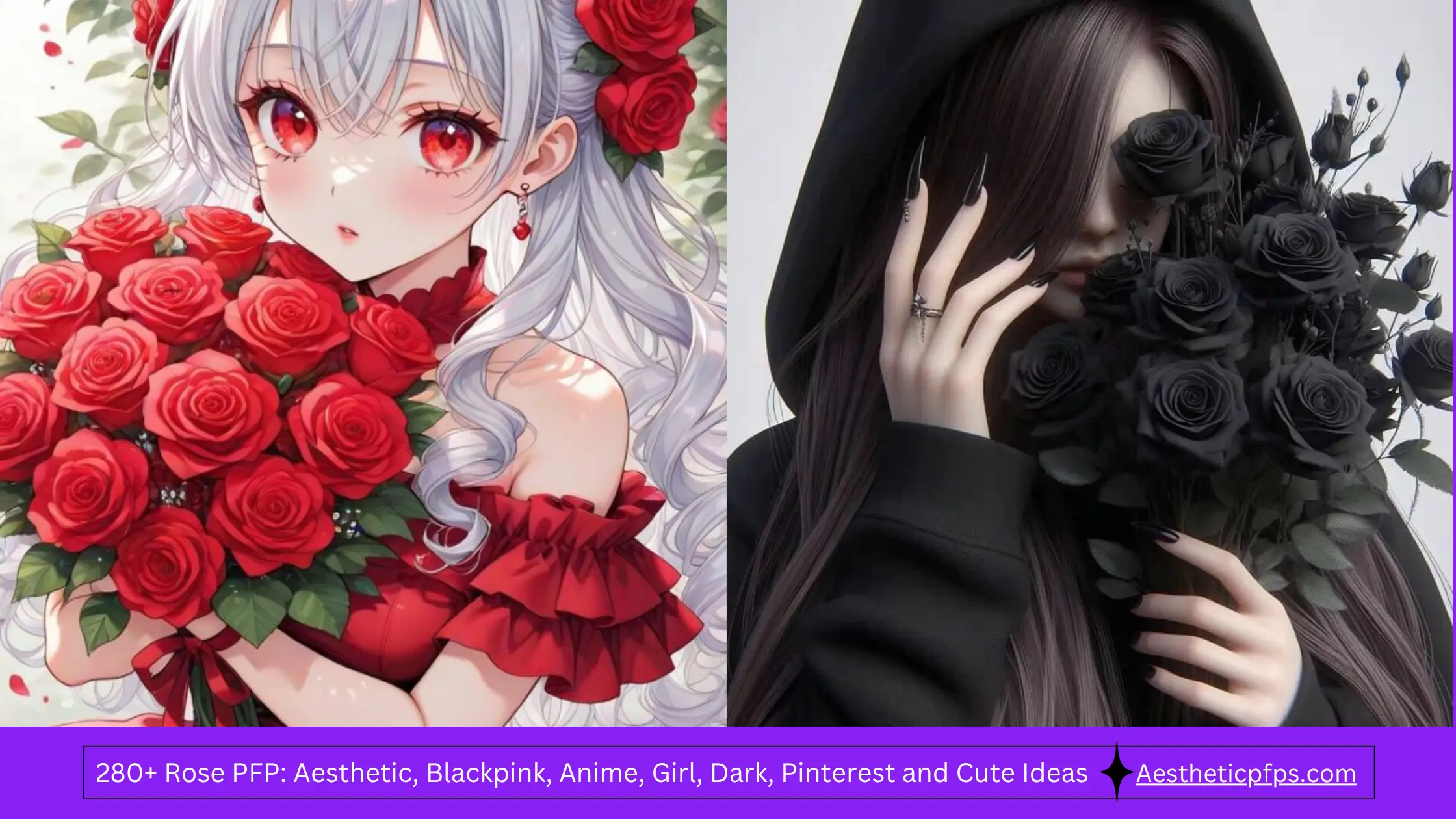 280+ Rose PFP
