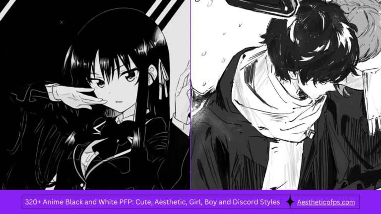 320+ Anime Black and White PFP Cute, Aesthetic, Girl, Boy and Discord Styles