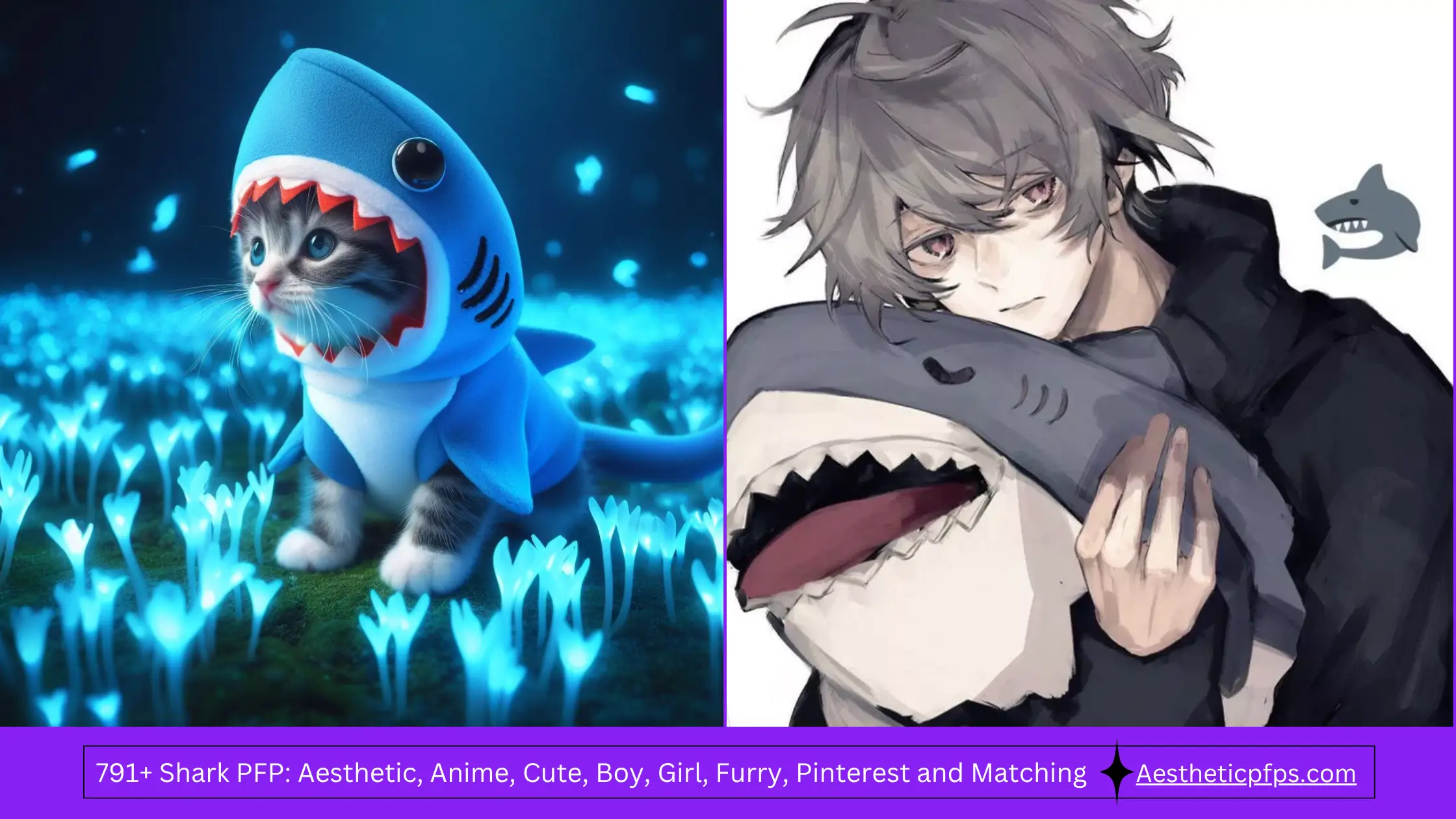791+ Shark PFP Aesthetic, Anime, Cute, Boy, Girl, Furry, Pinterest and Matching