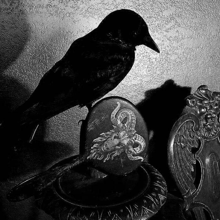 Aesthetic black PFP dark mood silhouette