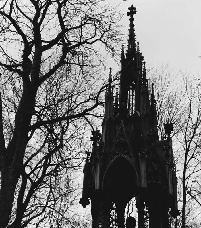 Black and white PFP aesthetic artistic
