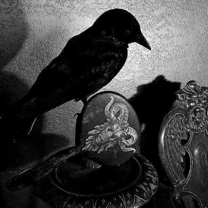 Black PFP Discord aesthetic moody