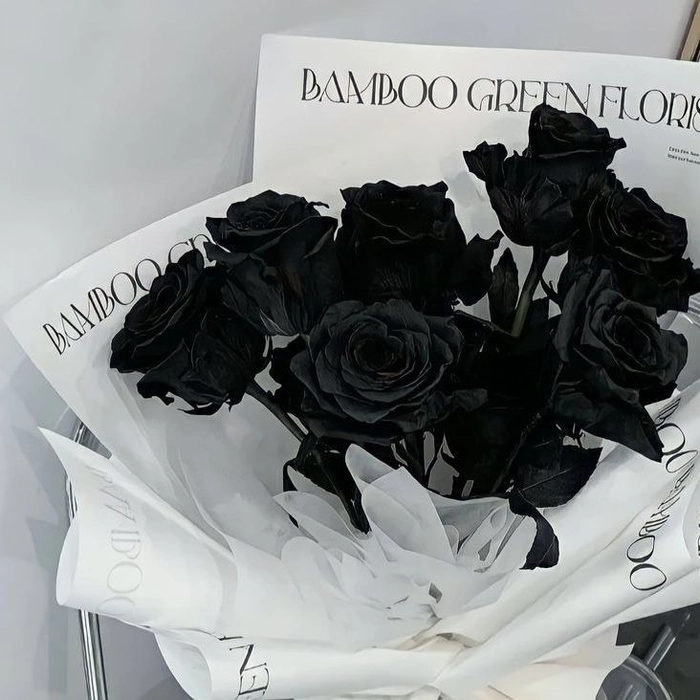 Black aesthetic Pinterest profile picture