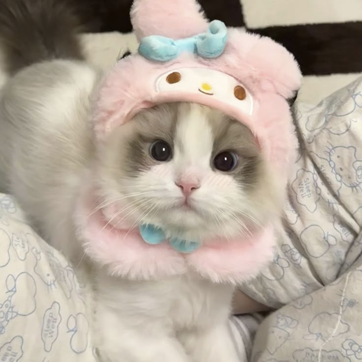 cute pink pfp cat soft illustration pink