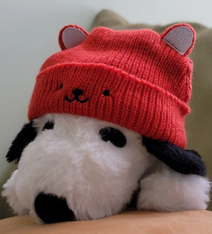 Snoopy PFP matching coordinated color scheme friends