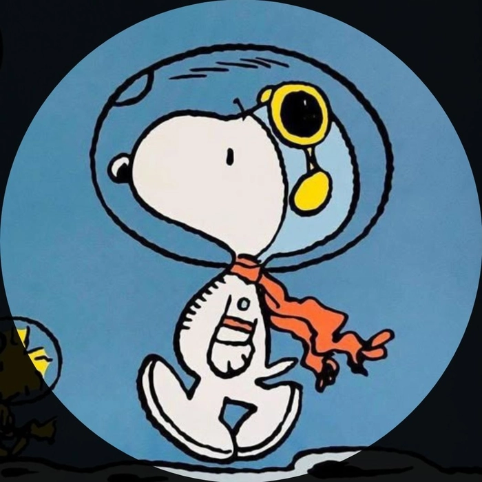 Snoopy PFP aesthetic muted palette artistic framing