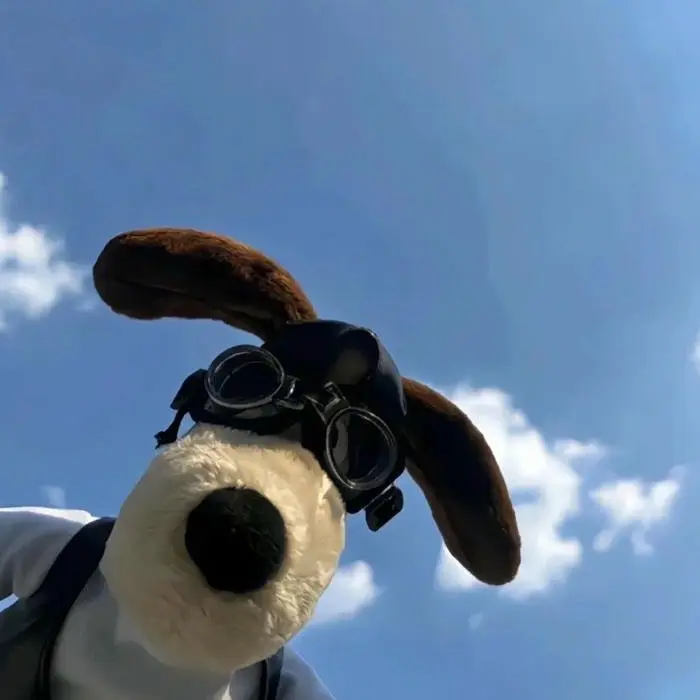 Cute PFP Preppy