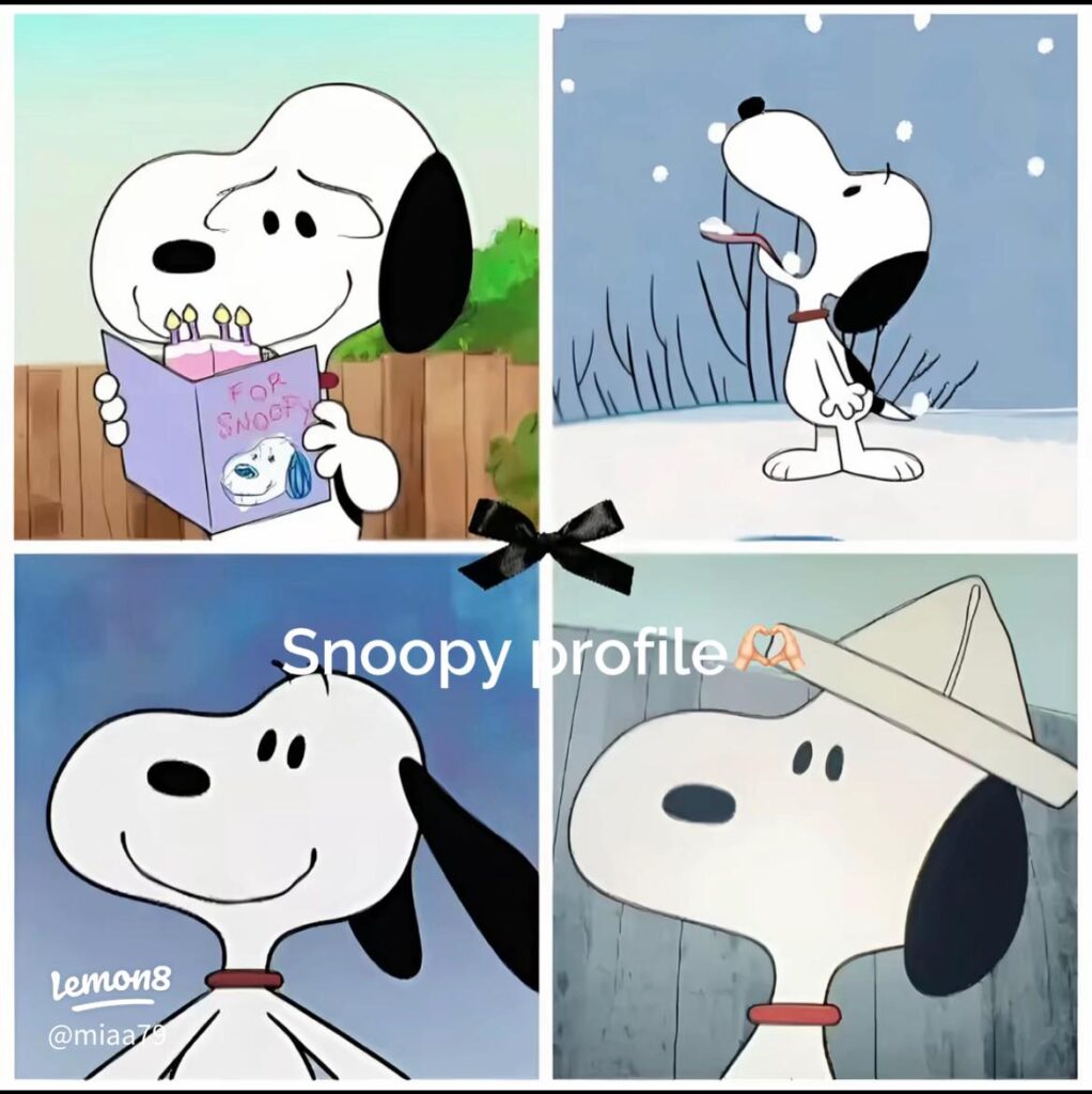 Snoopy PFP matching visually cohesive duo