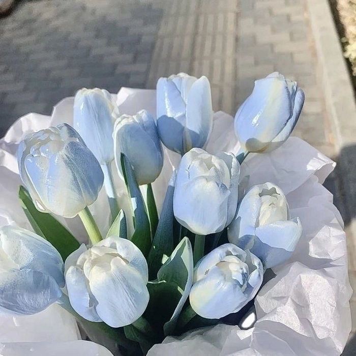Aesthetic blue flower PFP with cool-toned petals and tranquil airy background