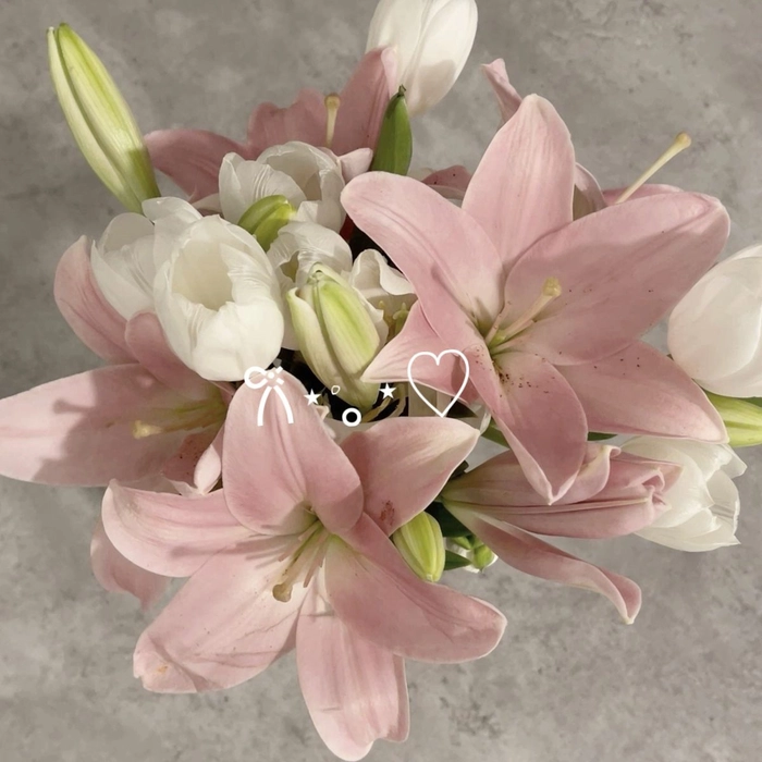 Aesthetic flower Instagram PFP with warm bokeh and airy botanical framing
