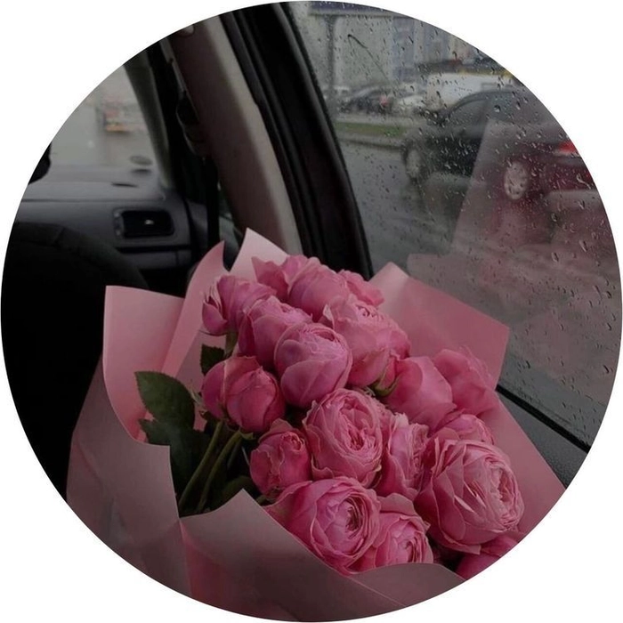 Pink aesthetic flower PFP with soft spring tones and romantic lighting