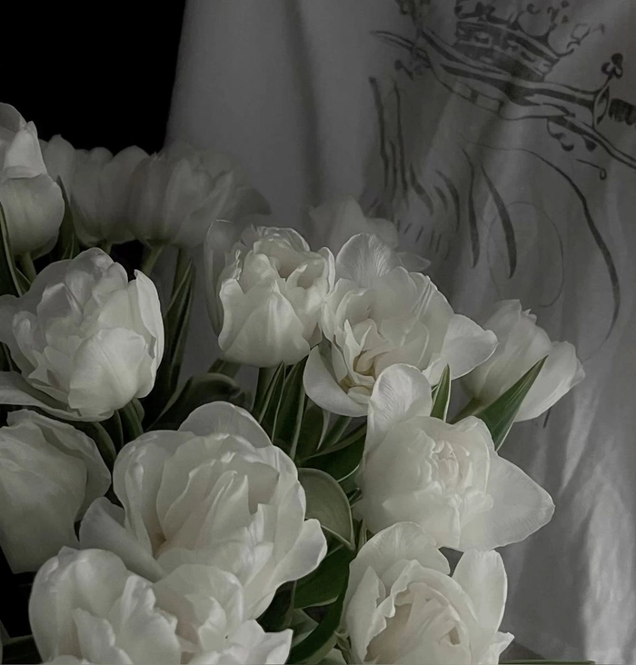 Aesthetic white flower PFP with ivory petals and soft neutral background