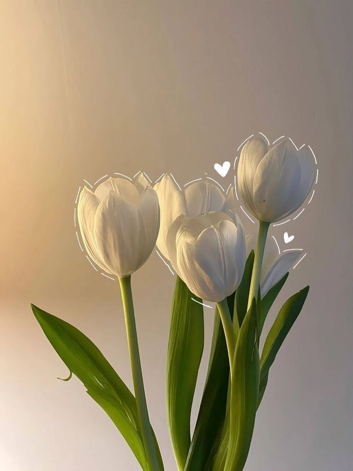 White floral aesthetic PFP with airy high-key lighting and minimal composition