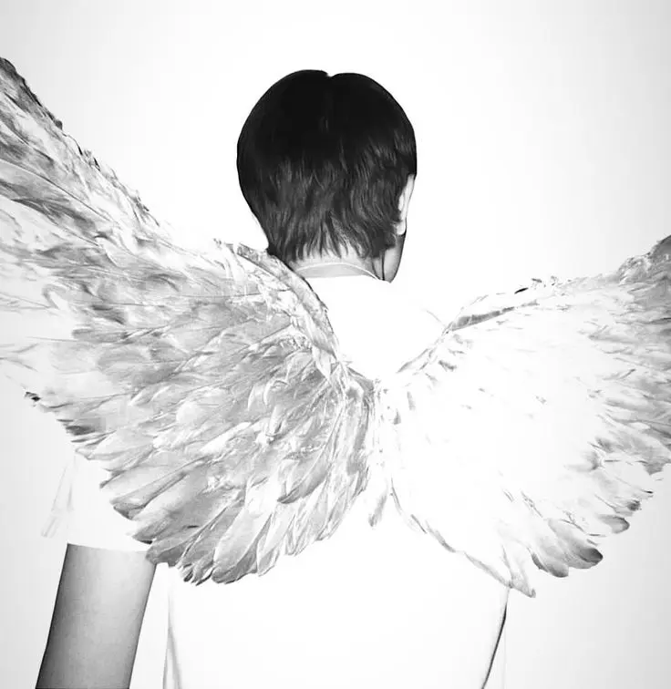 Angel Aesthetic PFP