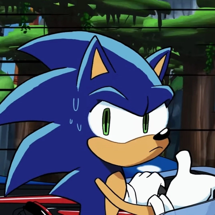 Awesome Sonic PFP with dynamic pose and cinematic motion lines