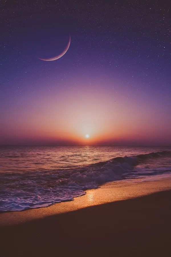 Beautiful moon PFP serene timeless