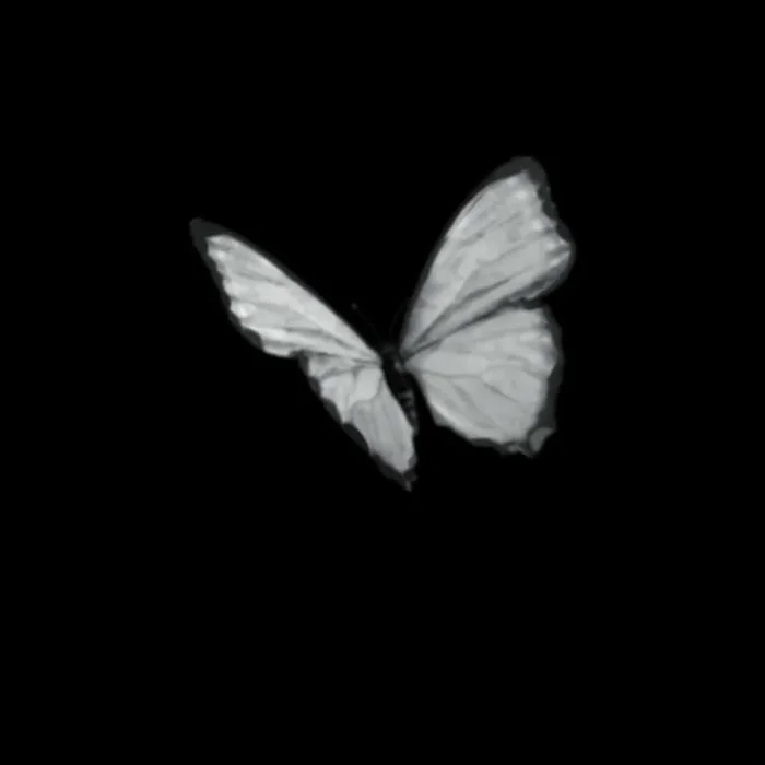 Black PFP Pinterest style with soft lighting and curated composition