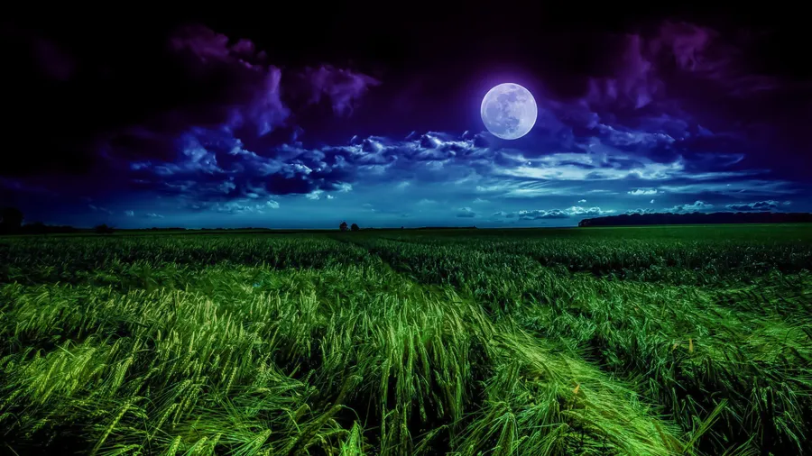 Blue moon PFP clean modern
