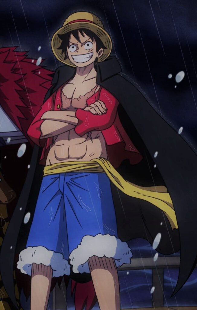 cool Luffy Discord PFP circular frame optimized