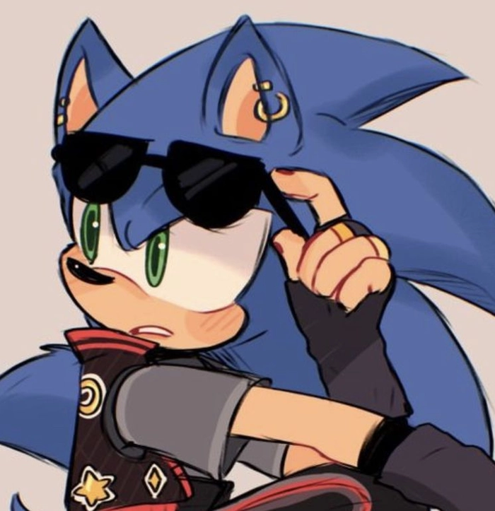 Cool Sonic PFP for Discord with sharp lighting and strong outline