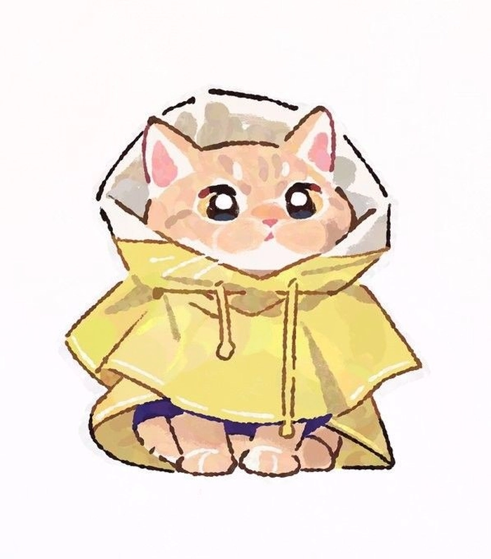 Instagram-ready cute cat PFP with natural light and warm fur detail