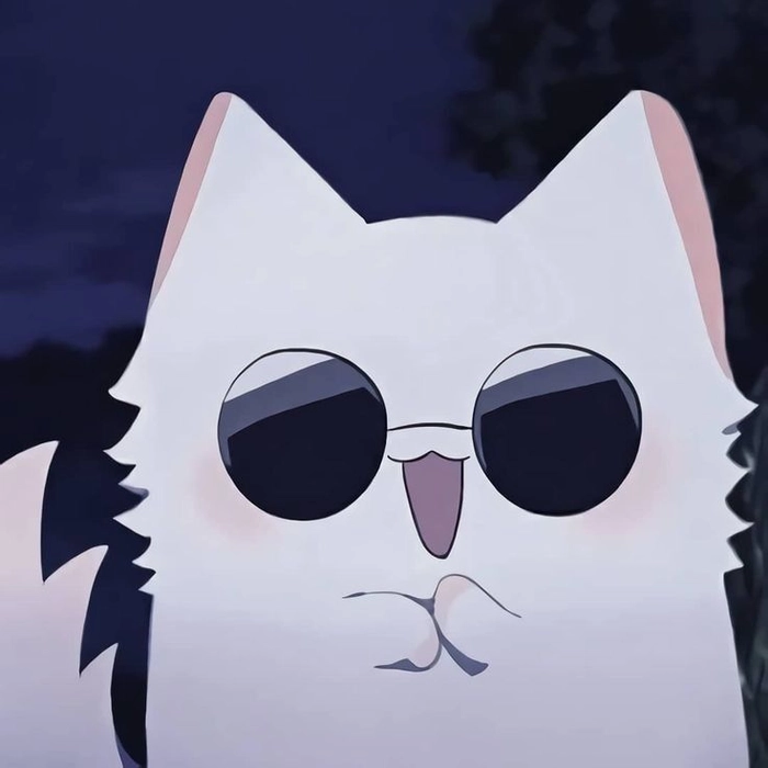 Pinterest-style cute cat PFP with floral accents and clean background