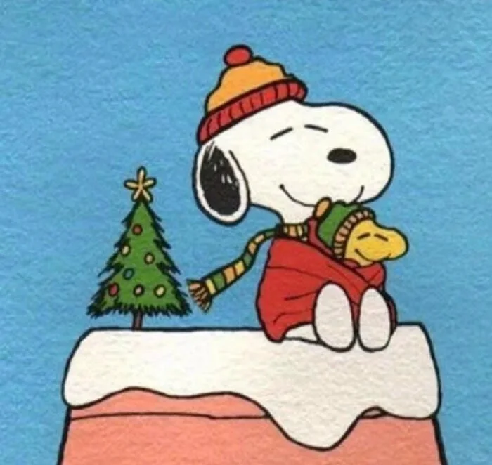 Cute Christmas Pfp Gif