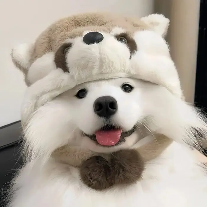 Kawaii Cute PFP