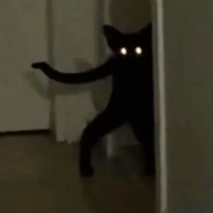 Cute PFP black showing clean dark avatar with expressive eyes