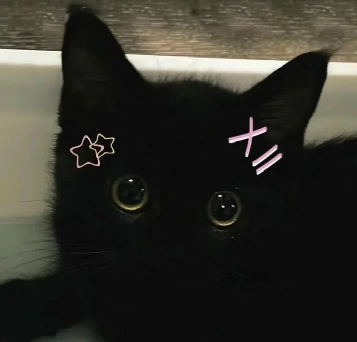 Cute PFP black anime featuring expressive character shading