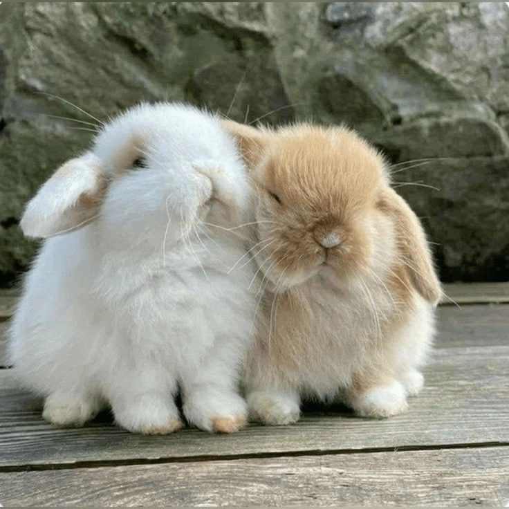 Flat icon bunny avatar designed for messaging app readability at tiny sizes