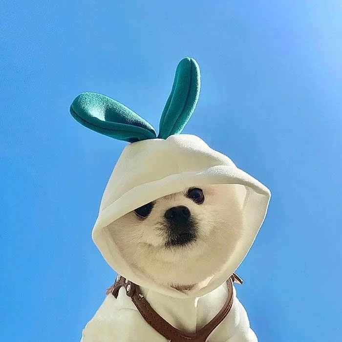 Cute Pfp For Whatsapp