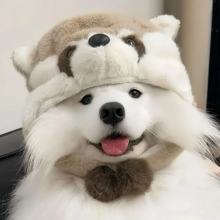 Soft cute PFP idea with dreamy aesthetic scene