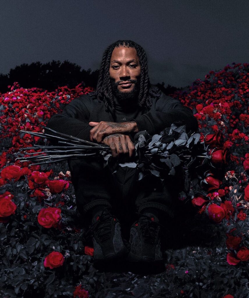 Derrick Rose PFP with dramatic arena lighting and basketball player portrait