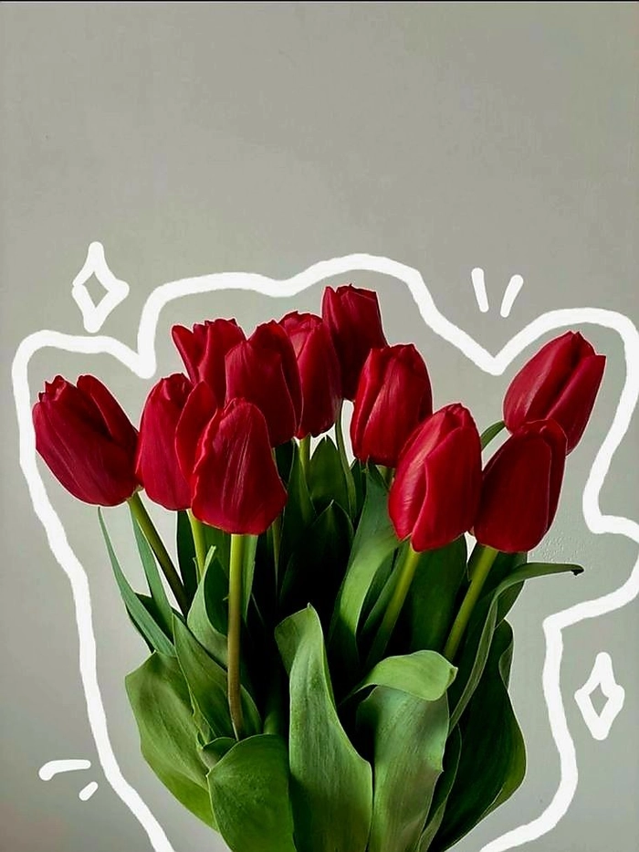 Centered flower PFP for Instagram with clean botanical composition
