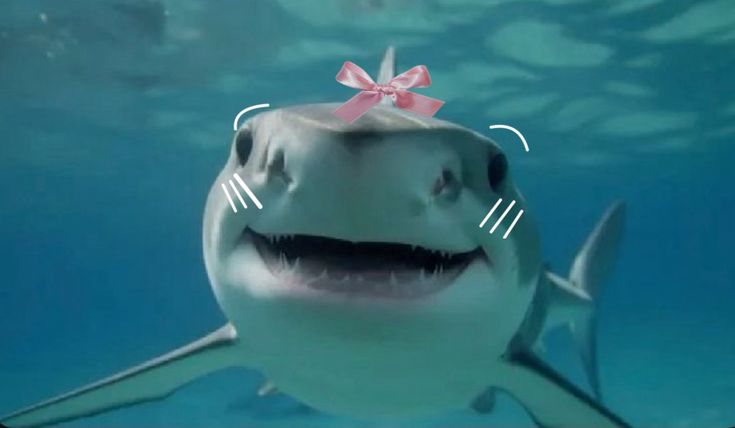 dramatic hammerhead shark profile picture with symmetrical framing and deep ocean atmosphere