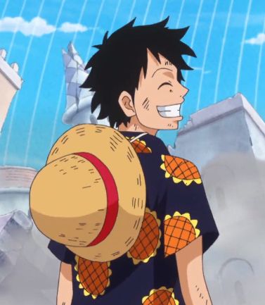 Monkey D Luffy cool profile picture clean composition