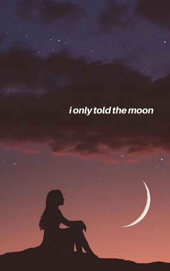Moon PFP aesthetic muted tones