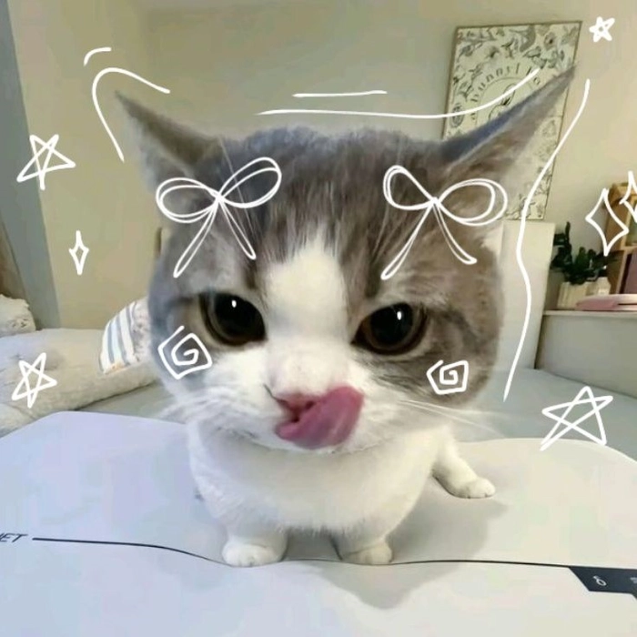 Pinterest aesthetic Discord avatar with coordinated color theme and polished styling