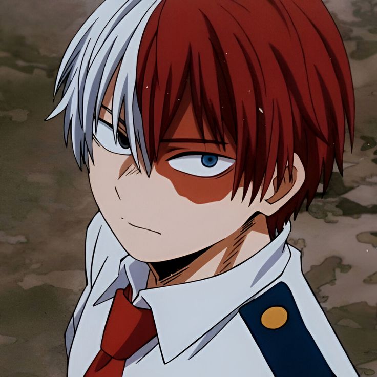 Todoroki profile picture clean polished avatar