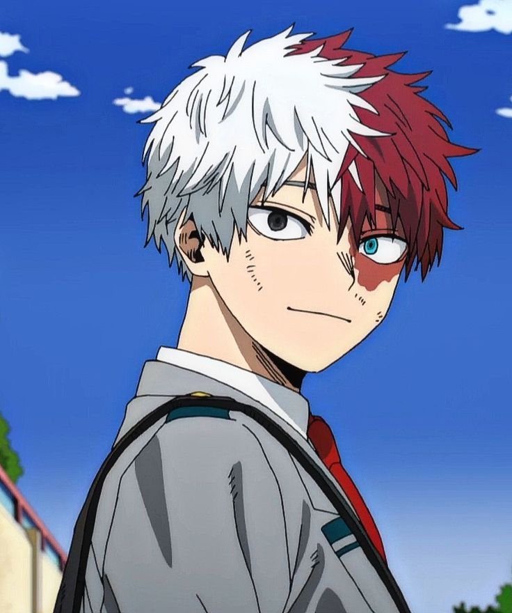 Shoto Todoroki clean profile PFP versatile use