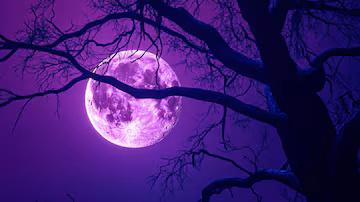 Purple moon PFP creative aesthetic