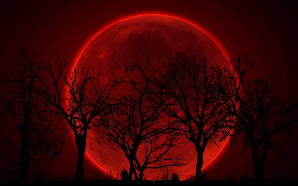 Red moon PFP bold striking intensity