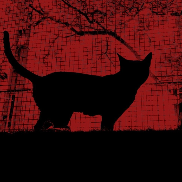 Red aesthetic PFP ready to download with centered subject and minimal overlay