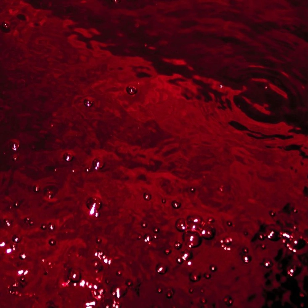 Red PFP aesthetic wallpaper with full-frame crimson landscape and atmospheric depth