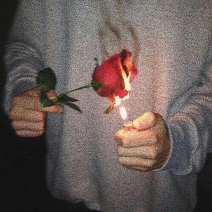 Pinterest-style Rosé PFP with soft background and vintage filter