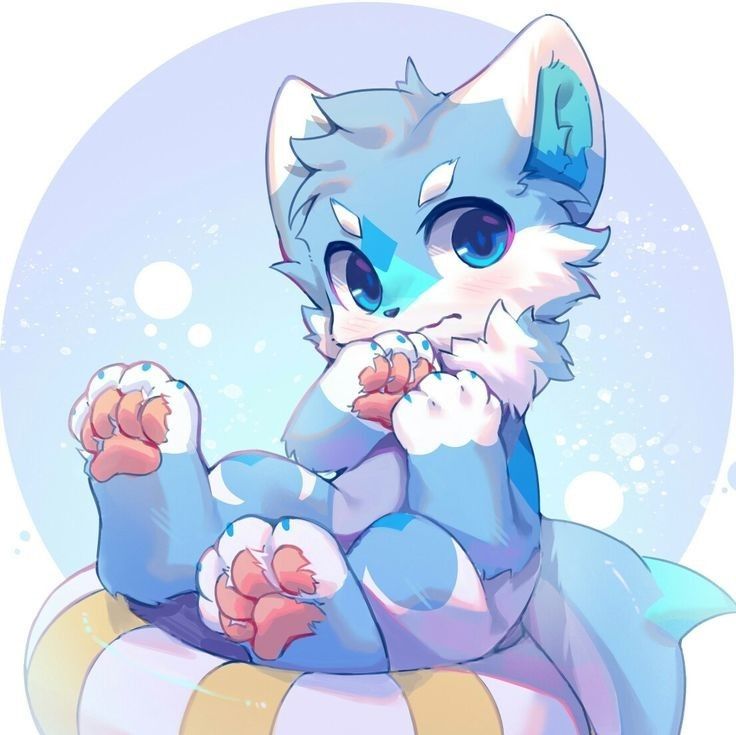 furry shark pfp with anthropomorphic design and expressive accessories