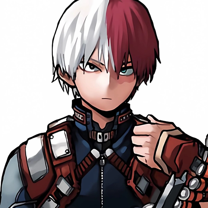 Cute Shoto Todoroki profile picture with gentle expression