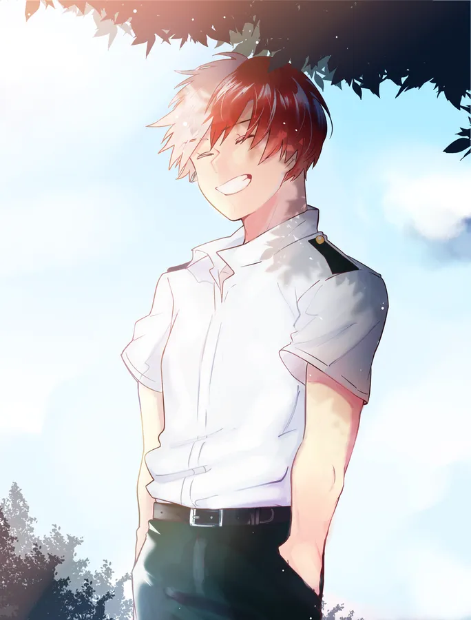 Standard Shoto Todoroki profile picture versatile style
